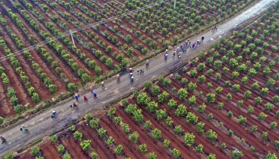2月19日，在江西吉安市永丰县恩江渠灌区，村民赶去田间劳作（无人机拍摄）。