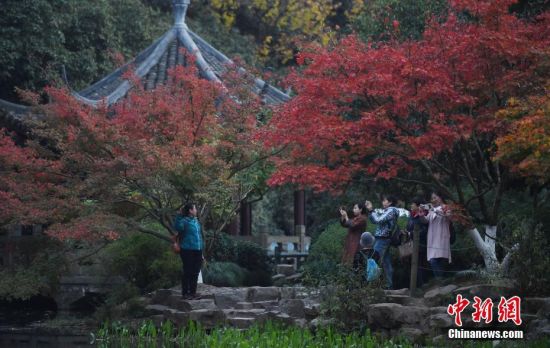 11月20日，游客在西湖九溪拍照。近日，浙江杭州西湖景区层林尽染，如画美景惹人醉。中新社记者