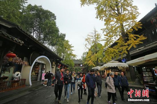 11月20日，游客在成都锦里古街游览。初冬时节，随着天气转冷，成都街头的银杏树叶渐渐变成金黄。中新社记者