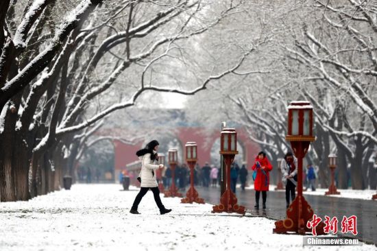 11月30日，民众在北京天坛公园内赏雪。29日，北京迎来2019年冬季初雪。中新社记者