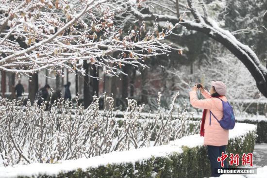 11月30日，市民在北京景山公园内赏雪拍照。29日，北京迎来2019年冬季初雪。中新社记者