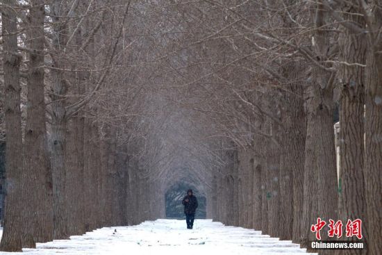 1月20日，北京迎今年首场降雪，市民在雪中散步。