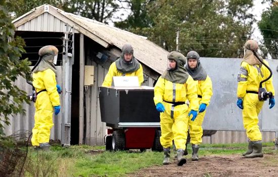 波兰貂养殖场18名员工感染新冠。