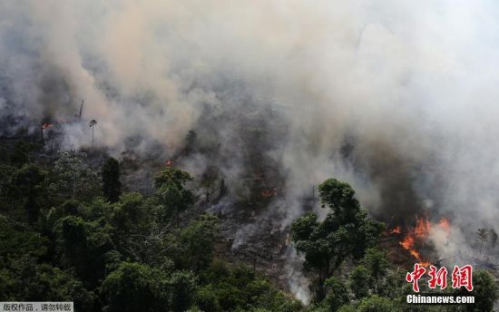 亚马逊森林烟雾弥漫，透过浓烟能看到森林中的火光。