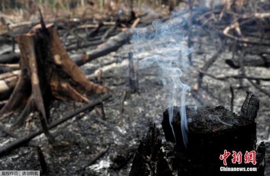 截至当地时间8月21日，亚马孙地区的森林大火已持续燃烧了16天