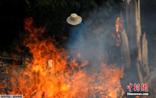 据悉，8月份，巴西共发生了5000多起火灾，其中帕拉州发生了1380起，其次是马托格罗索州790起，和亚马逊州503起，这3个州都以亚马逊雨林作为其唯一的或者部分生物群落。