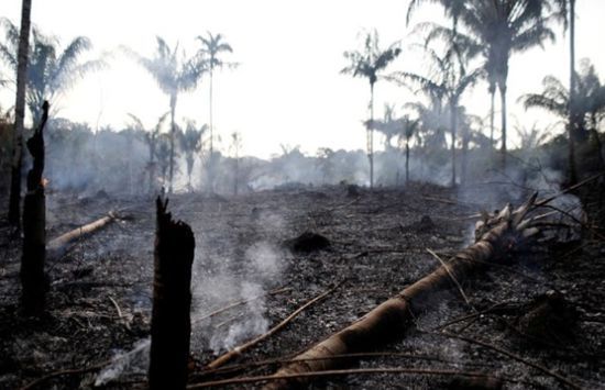 截至当地时间8月21日，亚马孙地区的森林大火已持续燃烧了16天。