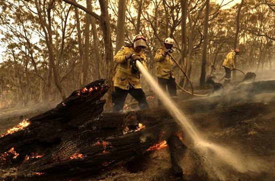 澳洲新南韦尔斯野火已被控制。