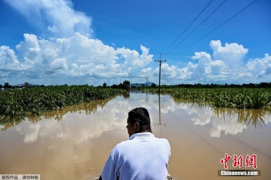 当地时间9月29日，台风“电母”引发的强降雨在泰国多地形成内涝，当地居民只能借助船只在街道中通行。